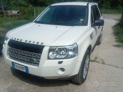 usata Land Rover Freelander 2 Freelander 2.2 SD4 S.W. SE