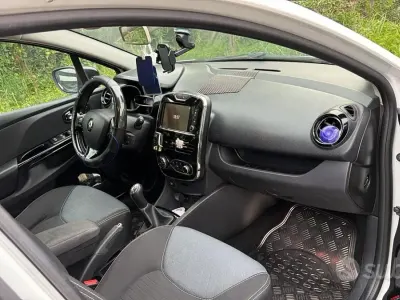 Usata Renault Clio