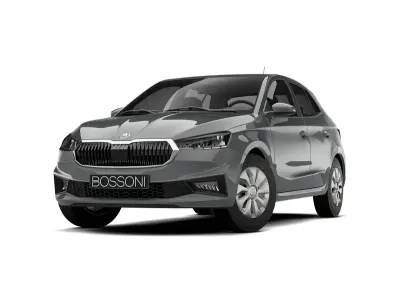 Nuova Skoda Fabia 2026 Grigio Utilitaria