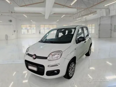 Usata Fiat Panda Easy 84 CV (61 kW) 2018 Bianco Utilitaria