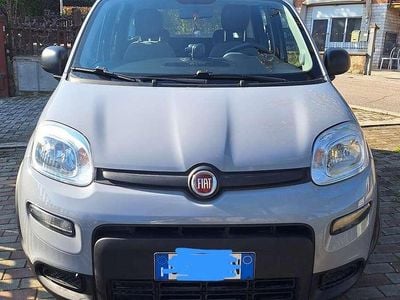 Usata Fiat Panda City Life 69 CV (50 kW) 2020 Grigio Utilitaria