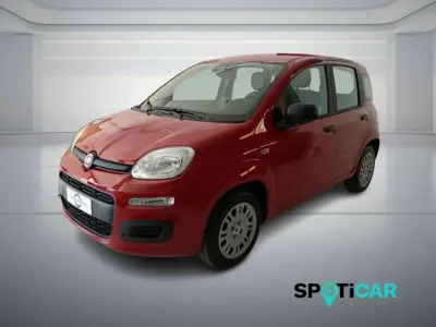 Neu Fiat Panda S 70 PS (51 kW) 2025 Rot Kleinwagen