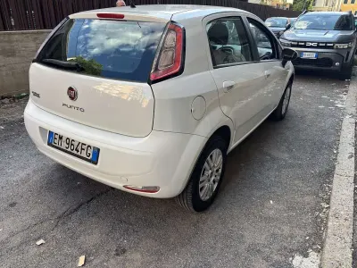 Usata Fiat Punto 77 CV (56 kW) 2012 Utilitaria