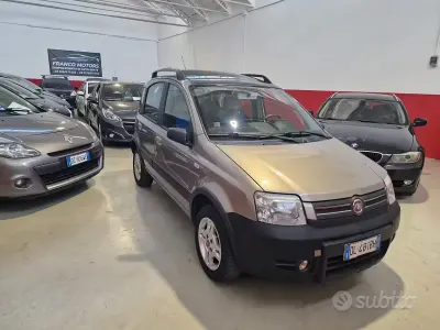 Usata Fiat Panda Climbing 60 CV (44 kW) 2007 Giallo Utilitaria