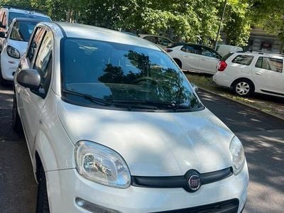 Bianco Usata 2014 Fiat Panda Young Utilitaria | 3800 € (Buon prezzo)