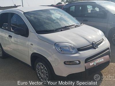 Usata Fiat Panda S 70 CV (51 kW) 2023 Bianco Utilitaria