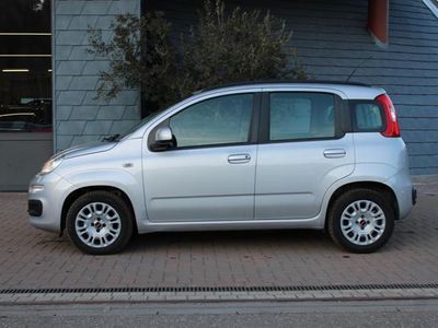 usata Fiat Panda 1.2 Easy 5 POSTI