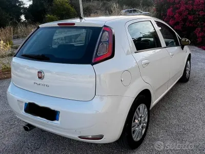 Usata Fiat Punto 75 CV (55 kW) 2015 Bianco Utilitaria