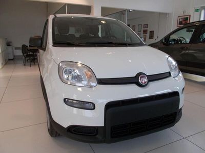 usata Fiat Panda 1.0 FireFly S&S Hybrid 338.7575187 MASSARI MARCO