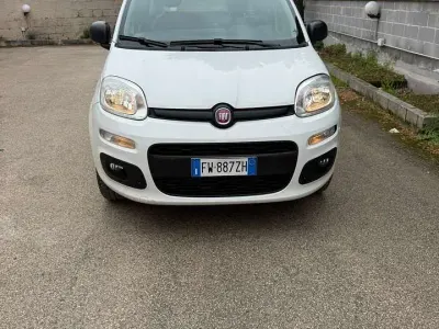 Usata Fiat Panda Easy 80 CV (58 kW) 2019 Other Utilitaria