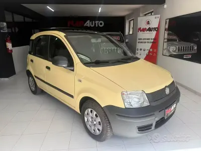Usata Fiat Panda Dynamic 54 CV (39 kW) 2010 Giallo Utilitaria