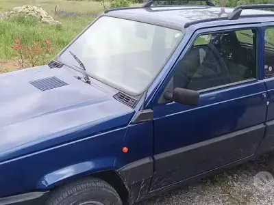Gebraucht Fiat Panda 4x4