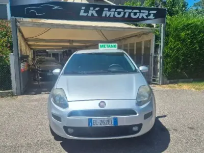 Usata Fiat Punto Evo 77 CV (56 kW) 2012 Grigio Utilitaria