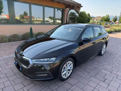 Usata Skoda Octavia