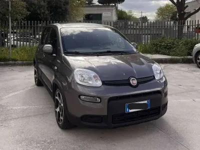 Usata Fiat Panda Sport 69 CV (50 kW) 2022 Grigio Utilitaria