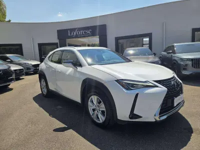 Usata Lexus UX 250h
