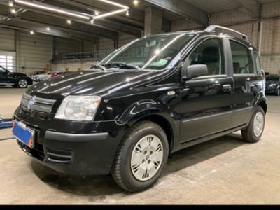 usata Fiat Panda 1300 mjet mod dynamic