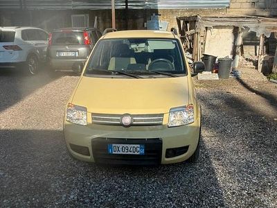 Usata Fiat Panda 77 CV (56 kW) 2009 Giallo Utilitaria
