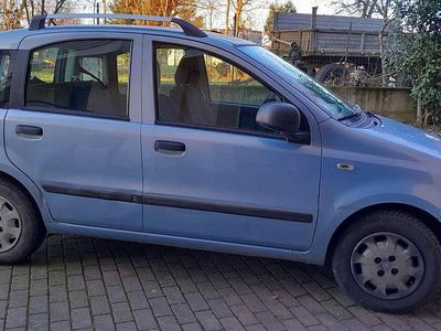 Usata Fiat Panda Active 69 CV (50 kW) 2011 Utilitaria