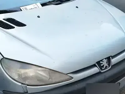 Usata Peugeot 206