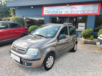 Usata Fiat Panda Dynamic 69 CV (50 kW) 2011 Grigio Utilitaria