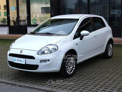 Bianco Usata 2014 Fiat Punto Street Utilitaria | 6500 € (Buon prezzo)