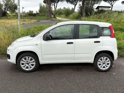 Usata Fiat Panda Easy 85 CV (62 kW) 2019 Bianco Utilitaria