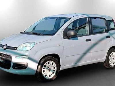 Usata Fiat Panda Easy 69 CV (50 kW) 2019 Grigio nano Utilitaria