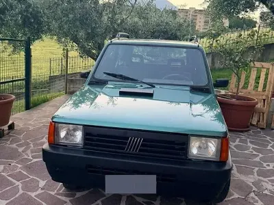 Usata Fiat Panda Trekking 54 CV (39 kW) 2000 Verde Berlina