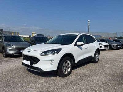 Usata Ford Kuga Business Edition 225 CV (165 kW) 2021 Bianco SUV