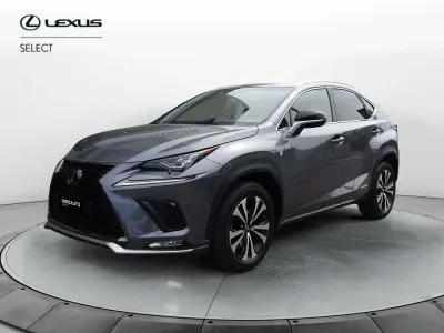 Usata Lexus NX300h