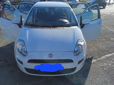 usata Fiat Punto 1.3 multijet