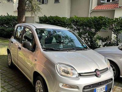 Usata Fiat Panda Easy 69 CV (50 kW) 2020 Grigio Utilitaria