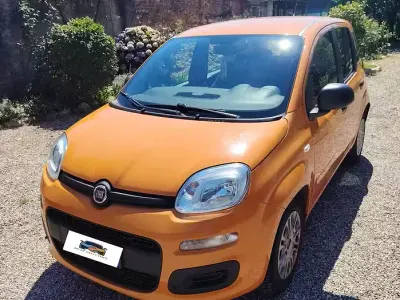 Usata Fiat Panda Easy 69 CV (50 kW) 2019 Arancione Utilitaria