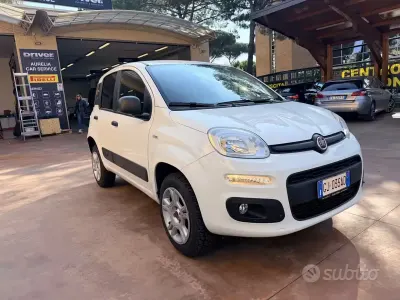 Usado Fiat Panda 4x4