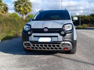 Usata Fiat Panda Cross Cross 95 CV (69 kW) 2019 Utilitaria