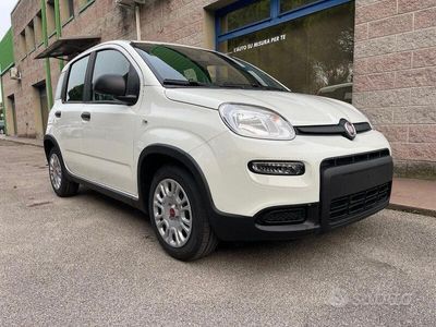 usata Fiat Panda 1.0 70CV HYBRID 5 POSTI SENSORI PARCH