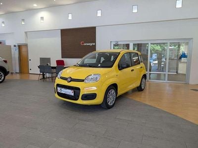 Nuova Fiat Panda Icon 65 CV (47 kW) 2026 Giallo Utilitaria