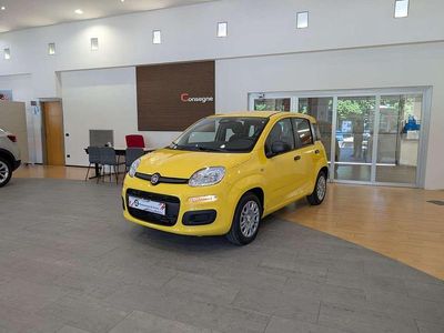 Nuova Fiat Panda Icon 65 CV (47 kW) 2026 Giallo Utilitaria