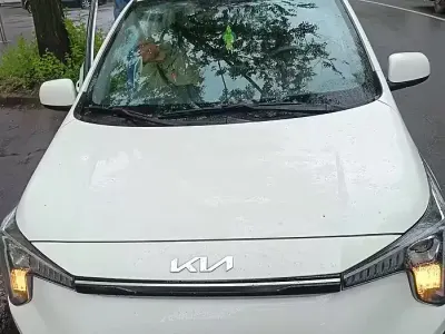 Usata Kia Picanto 2024 Bianco Utilitaria