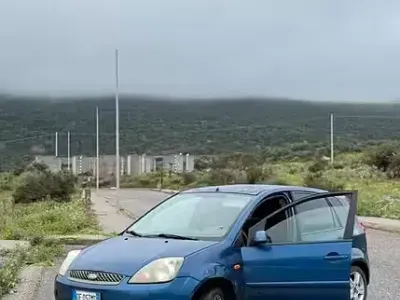 Usata Ford Fiesta