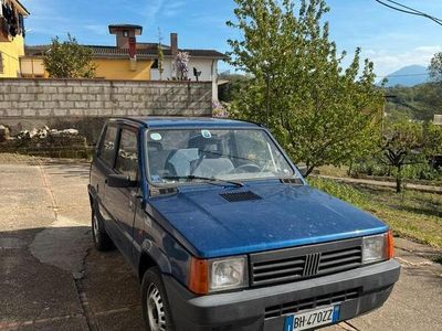 Usata Fiat Panda 45 CV (33 kW) 2000 Utilitaria