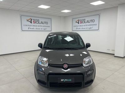 usata Fiat Panda 1.0 FireFly S&S Hybrid