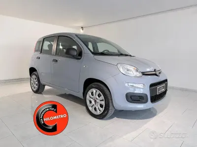 Usata Fiat Panda 80 CV (58 kW) 2018 Grigio Utilitaria