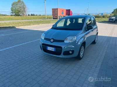 Usata Fiat Panda 69 CV (50 kW) 2020 Grigio Utilitaria