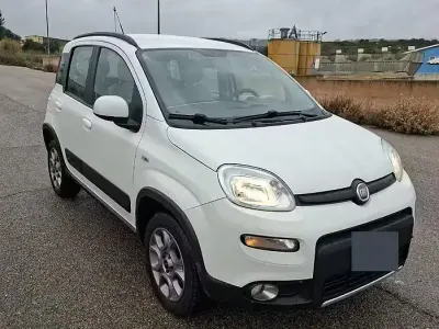 Usata Fiat Panda 4x4 S 75 CV (55 kW) 2013 Bianco Utilitaria