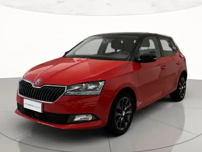 Usata Skoda Fabia