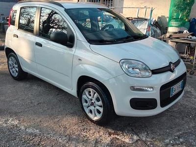 Usata Fiat Panda 2014 Utilitaria