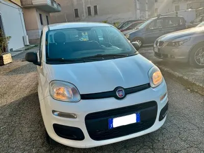 Usata Fiat Panda Lounge 69 CV (50 kW) 2019 Bianco Utilitaria