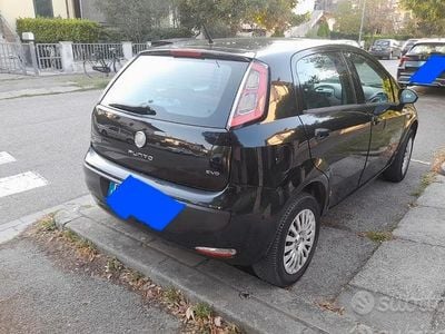 Usata Fiat Punto 75 CV (55 kW) 2012 Berlina